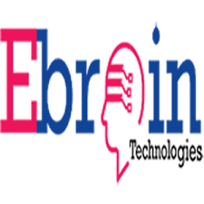 EBROIN TECHNOLOGIES LOGO